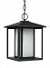 69029EN3-12 - Sea Gull Lighting - Hunnington - One Light Outdoor Pendant Contemporary