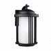 8747901DEN3-12 - Sea Gull Lighting - Crowell - One Light Outdoor Dark Sky Medium Wall Lantern Contemporary