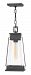 1132AC - Hinkley Lighting - Arcadia - One Light Outdoor Hanging Lantern Aged Copper Bronze Finish with Clear Glass - Arcadia