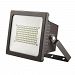 1423BZ - Acclaim Canada Dist. - 7 Inch 50W 1 LED Flood Light Bronze Finish with Tempered Glass -