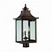 8317CP - Acclaim Canada Dist. - St. Charles 2 Light Post Latern This post mounted fixture features a copper patina finish with clear flat glass. -
