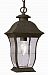 4974 WB - Trans Globe Lighting - Classic - One Light Outdoor Hanging Lantern Weathered Bronze Finish with Beveled Glass - Classic