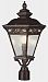 50514-1 BRB - Trans Globe Lighting - Braided - Three Light Post Burnished Bronze Finish with Clear Seeded Glass - Braided