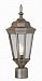 4096 BG - Trans Globe Lighting - Waldorf - One Light Outdoor Post Mount Black Gold Finish with Clear Glass - Waldorf