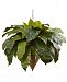 Nearly Natural 30" Giant Bird's Nest Fern Artificial Plant in Cone-Shaped Hanging Basket