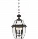 NY1179K - Quoizel Lighting - Newbury - 3 Light Large Hanging Lantern Mystic Black Finish with Clear Beveled Glass - Newbury
