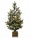 Martha Stewart Collection Small Led Snowy Pine Tree with "Merry Christmas" Wood Pot, Created for Macy's