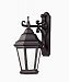 BCD6891BZP - Troy Lighting - Verona - 22 Two Light Outdoor Wall Lantren Bronze Patina Finish with Clear Glass - Verona