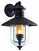 B9361NB - Troy Lighting - Old Town - One Light Outdoor Large Wall Lantern Natural Bronze Finish with Clear Seeded/Amber Glass - Old Town