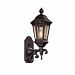 BCD6830BZ - Troy Lighting - Verona - 18 Inch One Light Outdoor Wall Lantren Bronze Finish with Clear Glass - Verona