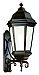 BFCD6836ABZ - Troy Lighting - Verona - 43.5 One Light Outdoor Wall Lantren Antique Bronze Finish with Clear Seeded Glass - Verona