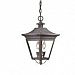 F8932NR - Troy Lighting - Oxford - Two Light Outdoor Hanging Lantern Natural Rust Finish with Clear Glass - Oxford