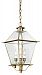 FCD8956CI - Troy Lighting - Montgomery - Three Light Outdoor Hanging Lantern Charred Iron Finish with Clear Seeded Glass - Montgomery