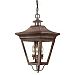 F8935CI - Troy Lighting - Oxford - Three Light Outdoor Large Pendant Charred Iron Finish with Clear Seeded Glass - Oxford