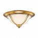 5417-FB - Hudson Valley Lighting - Carrollton - Three Light Flush Mount Flemish Brass Finish with Opal/Glossy - Carrollton