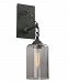 B4421 - Troy Lighting - Gotham - One Light Wall Mount Aged Silver Finish with Smoked Glass - Gotham
