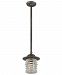 F4368 - Troy Lighting - Watson - One Light Outdoor Large Pendant Charred Zinc Finish with Clear Pressed Glass - Watson