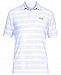Under Armour Men's Playoff Performance Mid Striped Golf Polo