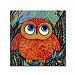 Oxana Ziaka 'Baby Owl' Canvas Art, 24x24"