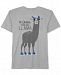 Jem Little Boys Llama Drama Graphic Cotton T-Shirt