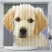 Golden Retriever Puppy Art Print Shower Curtains-Free Shipping - Shower Curtain - Golden Retriever Puppy Art Print Shower Curtains-Free Shipping
