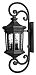 1609MB - Hinkley Lighting - Raley - Four Light Outdoor Extra Large Wall Mount 40W Candelabra Museum Black Finish with Clear Waterglass - Raley