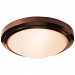 20356LEDDMG-BRZ/FST - Access Lighting - Oceanus - 15.75 17W 1 LED Outdoor Flush/Wall Mount Integrated LED Bronze Finish with Frosted Glass - Oceanus