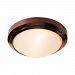 20355LEDDMG-BRZ/FST - Access Lighting - Oceanus - 12 One Light Outdoor Flush/Wall Mount Integrated LED Bronze Finish with Frosted Glass - Oceanus