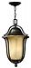 2632OB - Hinkley Lighting - Bolla - 20.5 One Light Outdoor Hanging Lantern 40W Candelabra Olde Bronze Finish - Bolla