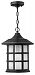 1802OP-GU24 - Hinkley Lighting - Freeport - 14 One Light Outdoor Hanging Lantern 26W GU24 Olde Penny Finish with Etched Seedy Glass - Medium Base Lamping -