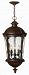 1892RK-LED - Hinkley Lighting - Windsor - 28.5 Outdoor Hanging Lantern 15W LED River Rock Finish with Clear Optic Water Glass -