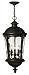 1892BK - Hinkley Lighting - Windsor - 28.5 Inch Outdoor Hanging Lantern 40W Candelabra Base Black Finish with Clear Water Glass -