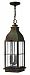 2042SN - Hinkley Lighting - Bingham - 23.5 Inch Three Light Outdoor Hanging Lantern 60W Candelabra Base Sienna Finish with Clear Seedy Glass -