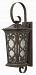 2278AM - Hinkley Lighting - Enzo - 28 One Light Outdoor Wall Lantern Autumn Finish with Clear Seedy Glass -