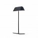 D5-4018BLK - ZANEEN design - Butterfly - Two Light Table Lamp Black Finish - Butterfly