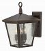 1429RB - Hinkley Lighting - Trellis - Three Light Outdoor Small Wall Mount CandelabraRegency Bronze Finish with Clear Seedy Glass -