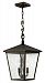 1432RB-LED - Hinkley Lighting - Trellis - Three Light Outdoor Hanging Lantern LED CandelabraRegency Bronze Finish with Clear Seedy Glass -
