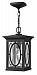1492BK - Hinkley Lighting - Randolph - One Light Outdoor Hanging Lantern Medium BaseBlack Finish with Clear Seedy/Etched Seedy Glass -