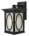 1495BK - Hinkley Lighting - Randolph - One Light Large Outdoor Wall Mount Medium BaseBlack Finish with Clear Seedy/Etched Seedy Glass -