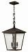 1432RB-LL - Hinkley Lighting - Trellis - Three Light Outdoor Hanging Lantern LED CandelabraRegency Bronze Finish with Clear Seedy Glass -