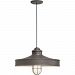 5DNC16MFGGTBZ-BC - Troy Lighting - Nostalgia - 16 Inch One Light Pendant with Wire Guard Textured Bronze Finish with Frosted Glass - Nostalgia
