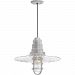 5DRW18MCGGGA-BC - Troy Lighting - Radial Wave - 18 Inch One Light Pendant with Wire Guard Galvanized Finish with Clear Glass - Radial Wave