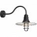 RW16MCGGBK3SL23 - Troy Lighting - Radial Wave - 16 Inch One Light Wall Sconce with Small Loop Arm and Wire Guard 23" Black Finish with Clear Glass - Radial Wave