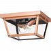 RO1612AC - Quoizel Lighting - Rue De Royal - Two Light Outdoor Flush Mount Aged Copper Finish with Clear Tempered Glass - Rue De Royal