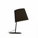D5-4006BLK - ZANEEN design - Excentrica M - One Light Table Lamp Black Finish - Excentrica M