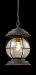 08170-BB - Elk Lighting - Manchester 1 light Lantern Burnt Bronze - Manchester