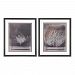 151-003/S2 - Elk-Home - Desert Form V VI - 28 Fine Art Print Under Glass (Set of 2)Black Finish - Desert Form V