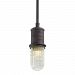 F4347 - Troy Lighting - Dock Street - One Light Outdoor Small Pendant Cenntinial Rust Finish with Clear Seeded Glass - Dock Street