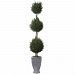 60172 - Uttermost - Cypress Triple - 43 inch Topiary Aged Gray/Terracotta Finish - Cypress Triple