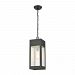 57303/1 - Elk Lighting - Angus - One Light Outdoor Pendant Charcoal Finish with Seedy Glass - Angus